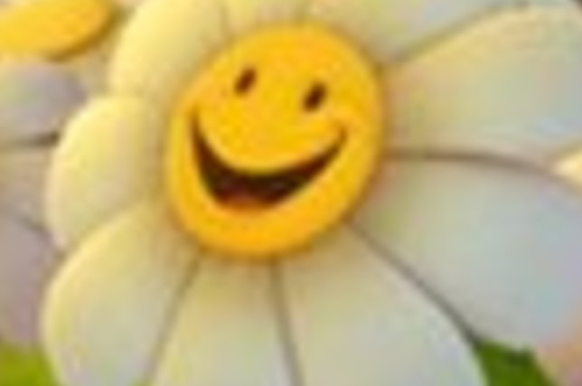 Ifbeaxqsh66ogsn6hgo3