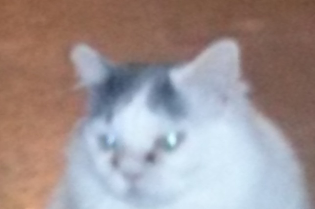 Wpfcqawd4pvxe8rxeqco