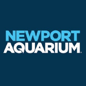 The Best Newport Aquarium Coupons Printable Sherry S Blog - roblox promo codes november of 2018