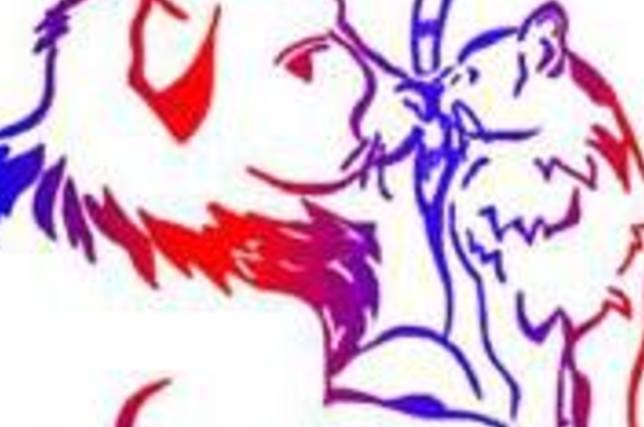 Njokmsocsg4gx1ebzu0b