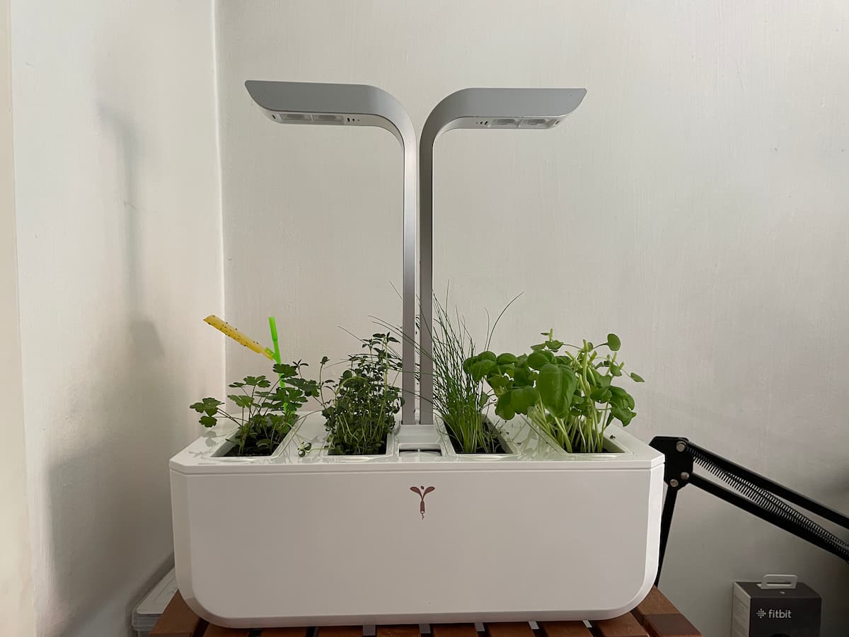 Veritable Smart Garden Review Are Smart Gardens Worth It? Goosed