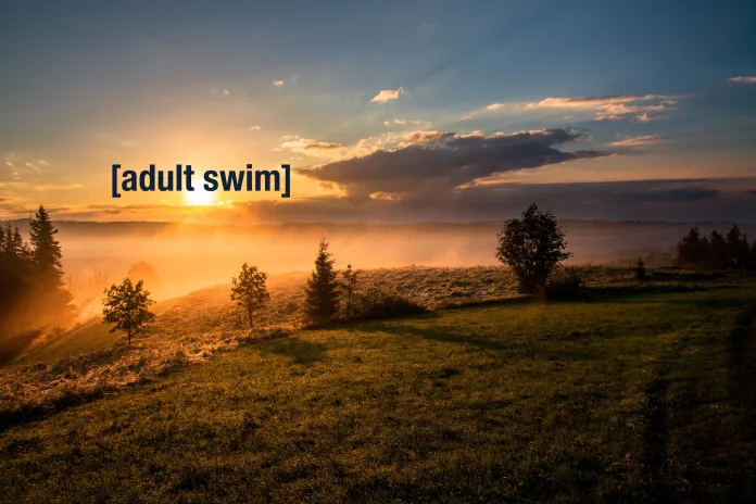 adult swim tiktok trend adult swim tiktok trend