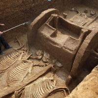 Shang China practice