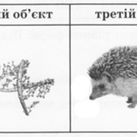 ЗНО онлайн 2016 року з біології – основна сесія