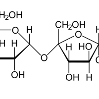 Carbohydrates