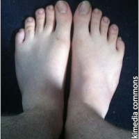 Estruturas do corpo humano