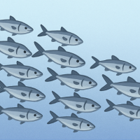 3rd Grade Science - 3-LS2-1 - Forming Groups