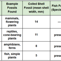 6-8th Grade Science - MS-LS4-1 - How Rock Layers Show Evidence of Life’s History on Earth