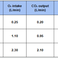 6-8th Grade Science - MS-LS1-7 - Chemical Reactions for Growth and Energy