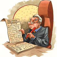 The Second Amendment