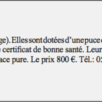 ЗНО онлайн 2013 року з французької мови – основна сесія