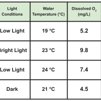 High School Science - HS-LS2-5 - Carbon Cycling and Energy Flow in Earth's Systems