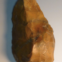 The origin of humans and early human societies