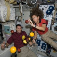 The author's purpose 2