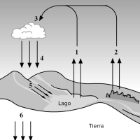 Ciclos biogeoquímicos