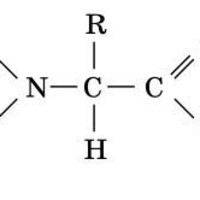 ЗНО онлайн 2020 року з біології – пробний тест