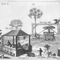 Regions of British colonies