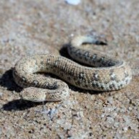 Word meanings: science 3