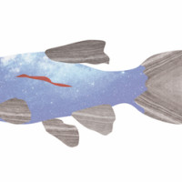 Point of view: stories 3