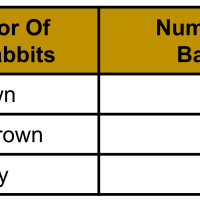 3rd Grade Science - 3-LS3-1 - Inherited Traits