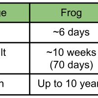 3rd Grade Science - 3-LS1-1 - Life Cycles