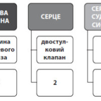 ЗНО онлайн 2014 року з біології – додаткова сесія