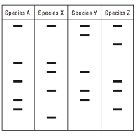 Evidence for evolution