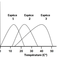 Méthode scientifique et analyse de données