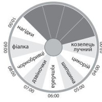 ЗНО онлайн 2020 року з географії – основна сесія