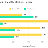 Voter turnout
