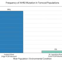 High School Science - HS-LS4-4 - Adaptation and Environmental Change