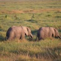 Figuring out new words 7