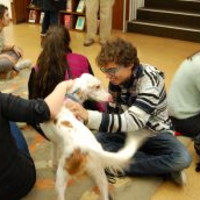 Evaluate an argument-6