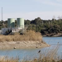 6-8th Grade Science - MS-ESS3-1 - Earth's Mineral, Energy, and Groundwater Resources