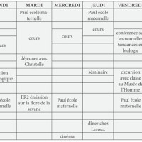 ЗНО онлайн 2017 року з французької мови – пробний тест