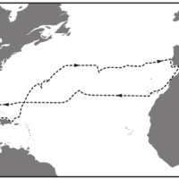 ЗНО онлайн 2018 року з географії – пробний тест