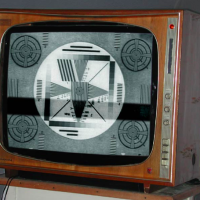 Social Psychology: reading informational text; The Third Wave 9