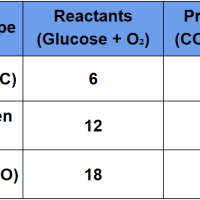 High School Science - HS-LS1-7 - Tracing Matter and Energy Through Cellular Respiration