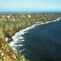 Interpretação de números negativos