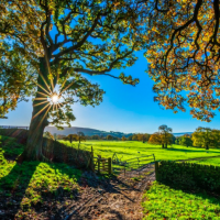 Borders: vocabulary; Mending Wall 9