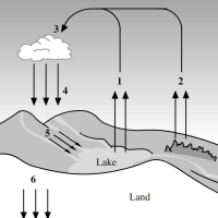 Biogeochemical cycles