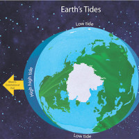 Answering questions about an informational text 2