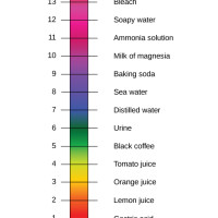 Acids, bases, and pH