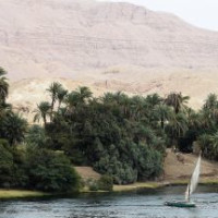 Word meanings: informational texts 3