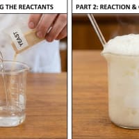 6-8th Grade Science - MS-PS1-5 - Where Do the Atoms Go? Modeling Chemical Reactions