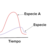Ecología de comunidades