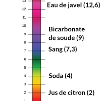 pH, acides et bases