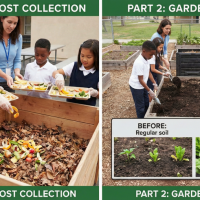 6-8th Grade Science - MS-LS2-3 - Matter Cycles, Energy Flows: How Ecosystems Work