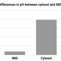 Cell compartmentalization