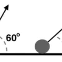 Comparing projectile trajectories